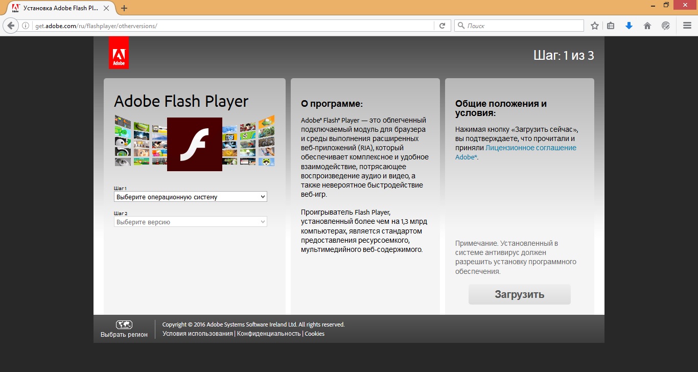 How to enable flash player in the brain