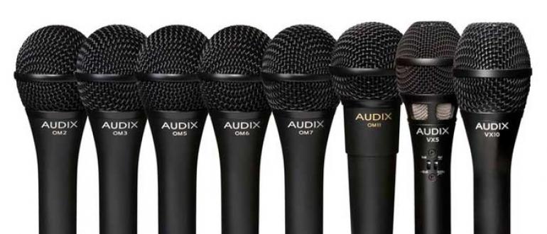 What types of microphones are there and how to choose the right microphone?