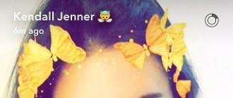 What is this app with butterflies and flowers on your head?