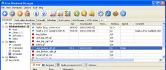 Free Download Manager скачать бесплатно русская версия Что умеет internet download manager