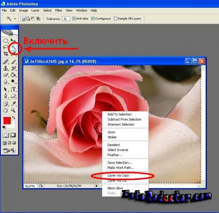 Copy selected areas in Photoshop