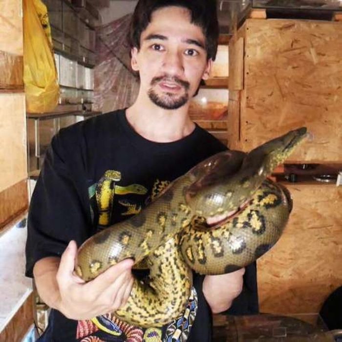 Famous blogger arslan valeev died after a snake bite live