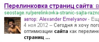 Yandex va Google uchun parcha